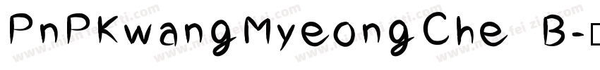 PnPKwangMyeongChe B字体转换
